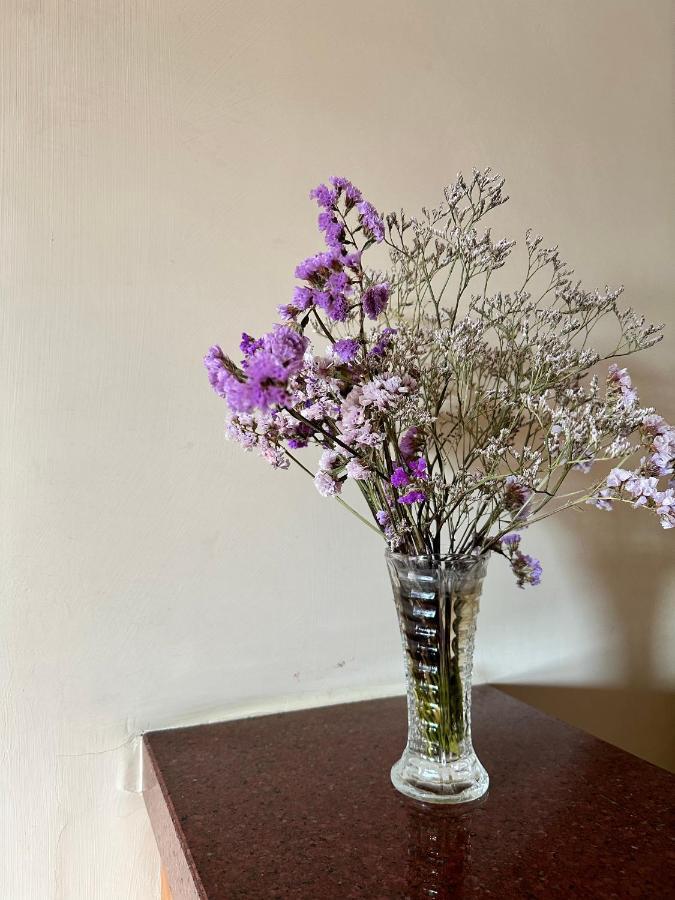 מלון רומא Oasi Santa Rosa מראה חיצוני תמונה